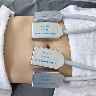 Light Weight Portable EMS Physiotherapy Machine , Home Cryolipolysis Machine