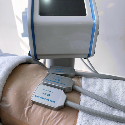 10.4 Inch Screen EMS 30HZ Cryolipolysis Fat Freezing Machine With 9 Mode