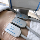 20Hz Cryolipolysis Fat Freezing Machine With EMS Muscle Stimulate