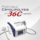 Home Body Slimming 100 Nm Cryolipolysis Fat Freezing Machine
