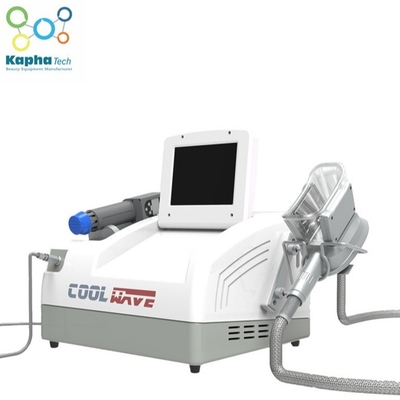 Cryolipolysis Fat Freezing  Equipment 2 In 1 Cryolipolysis Slimming + Pain Relief Shockwave Therapy Device Machine