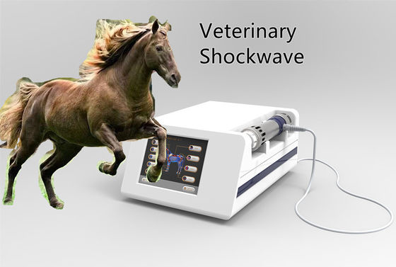 ESWT 16HZ Horses Shock Wave Therapy Equipment