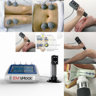 10.4 Touch Screen ESWT Therapy Machine For Body Massage