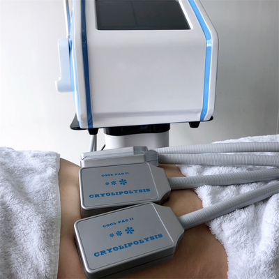 Protable Cryolipolysis Fat Freezing Machine For Cryo Body Slimming Home Use