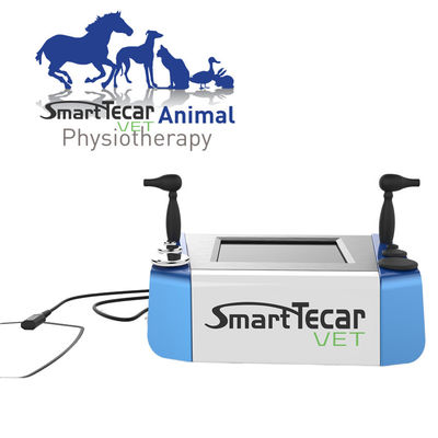Portable Veterinary Physiotherapy Tecar Therapy Machine For Pet Horse Dogs Cats Pain Relief