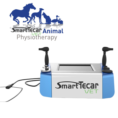 Portable Veterinary Physiotherapy Tecar Therapy Machine For Pet Horse Dogs Cats Pain Relief