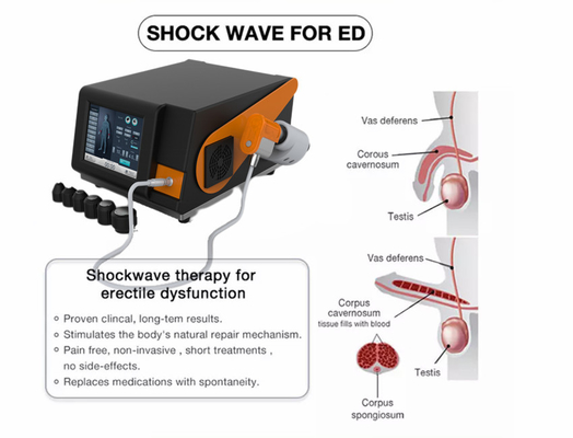 6 Bar Pneumatic ESWT Shcokwave Therapy Machine For Erectile Dysfunction Shock Wave Equipment