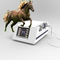 Radial Extracorporeal Equine Shockwave Physiotherapy Machine