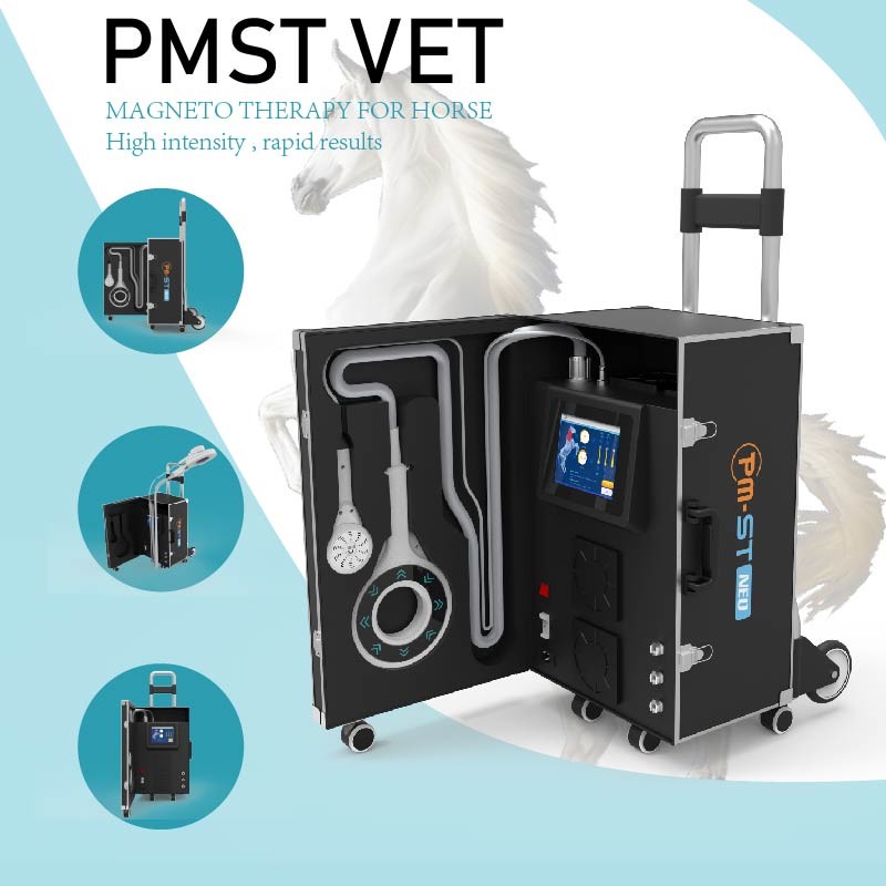 Equine Magneto Therapy EMTT PEMF Physiotherapy Machine For Muscle Swelling And Inflammation