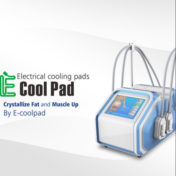 110V 60Hz Portable Fat Freezing Machine , Electrical Muscle Stimulation Equipment