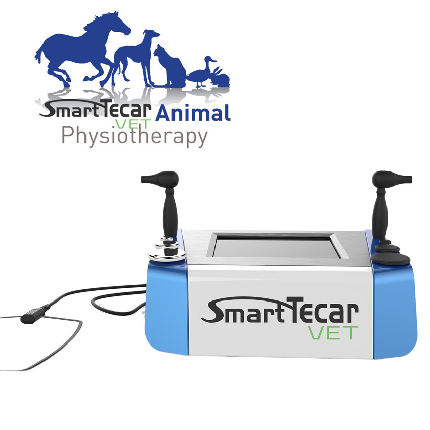 Portable Veterinary Physiotherapy Tecar Therapy Machine For Pet Horse Dogs Cats Pain Relief