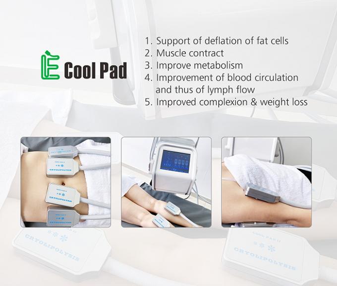 Cryolipolysis Fat Freezing Machine Electrical Muslce Stimulation